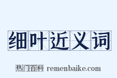 细叶近义词是什么意思的图片